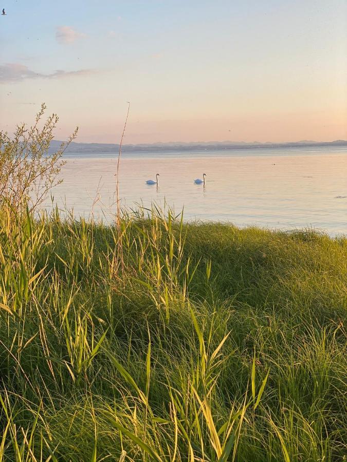 Ferien-apartment Haubentaucher Im Naturschutzgebiet Mit Privatstrand Apartment Friedrichshafen